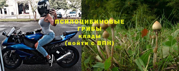 амф Сатка