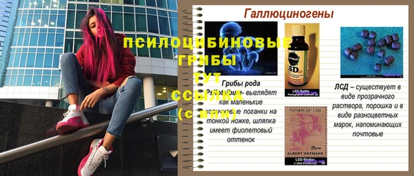apvp Алзамай