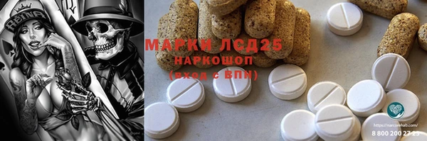 мет Алексин