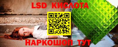 СК Славгород