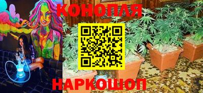 СК Славгород