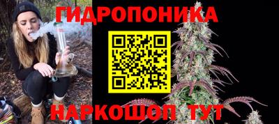 СК Славгород