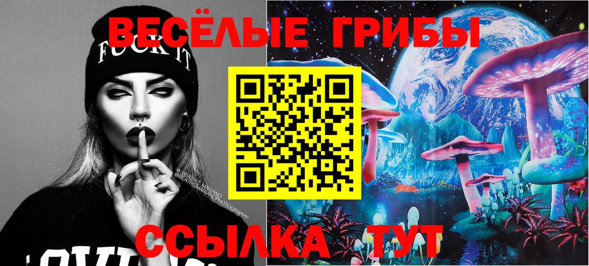 как найти закладки  Псилоцибиновые грибы прущие грибы  Вход с VPN  Петрозаводск 