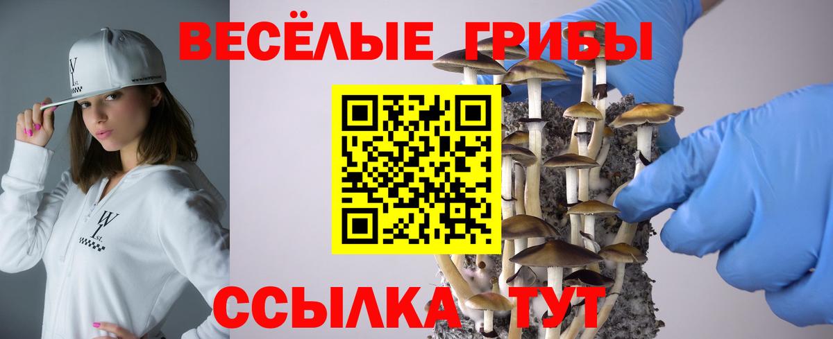 Псилоцибиновые грибы GOLDEN TEACHER Петрозаводск